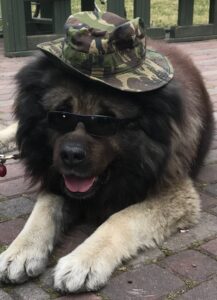 20190702_235405