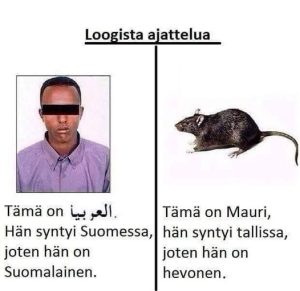 mauri-on-hevonen