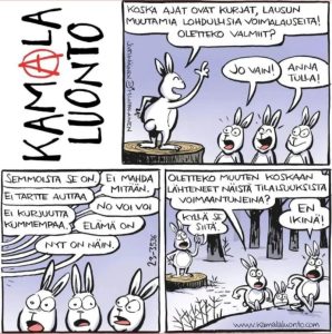 wiisaita-sanoja-janikselta