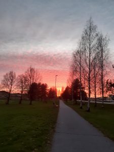 20241024_180624